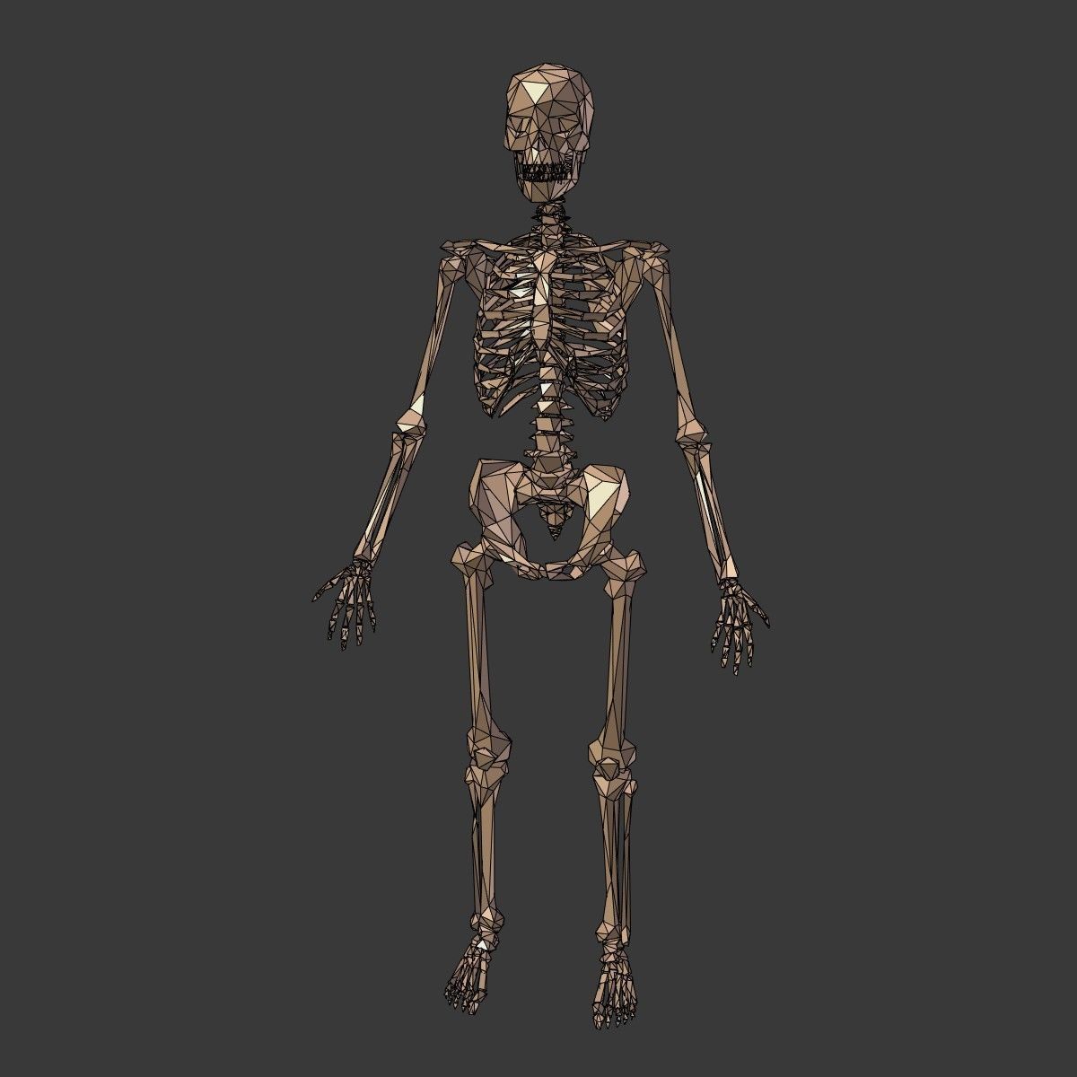 Cartoon Skeleton Low Poly Low-poly 3D model_3