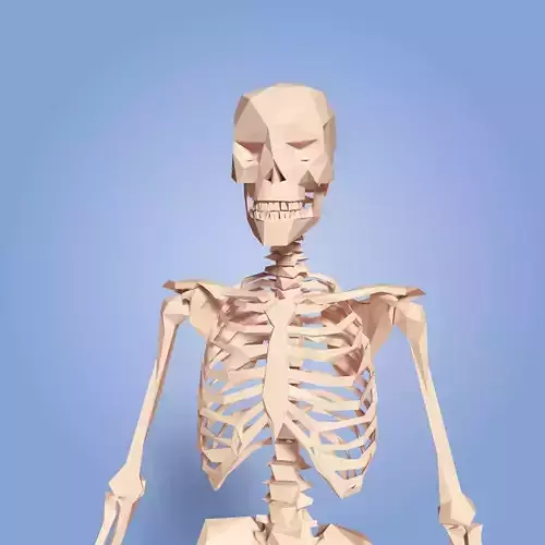 Cartoon Skeleton Low Poly Low-poly 3D model