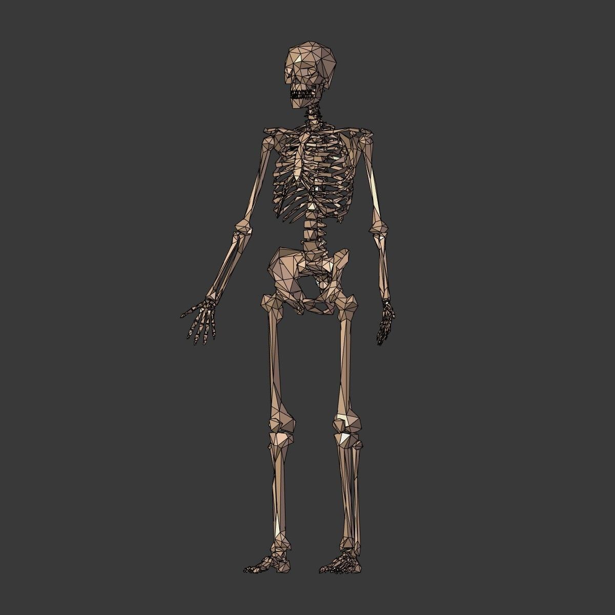Cartoon Skeleton Low Poly Low-poly 3D model_7