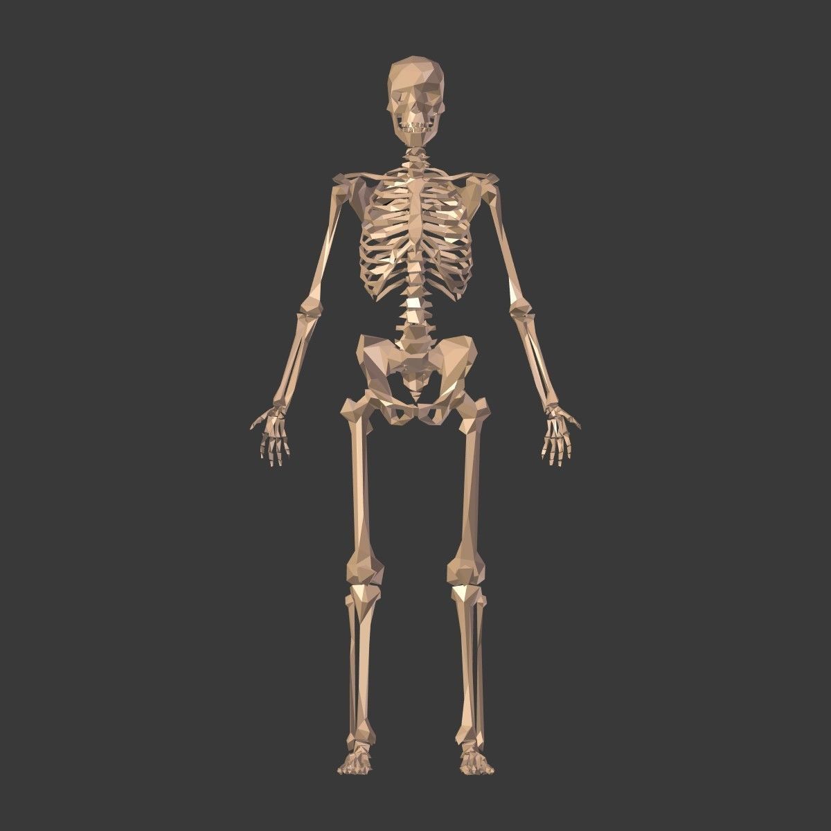 Cartoon Skeleton Low Poly Low-poly 3D model_4