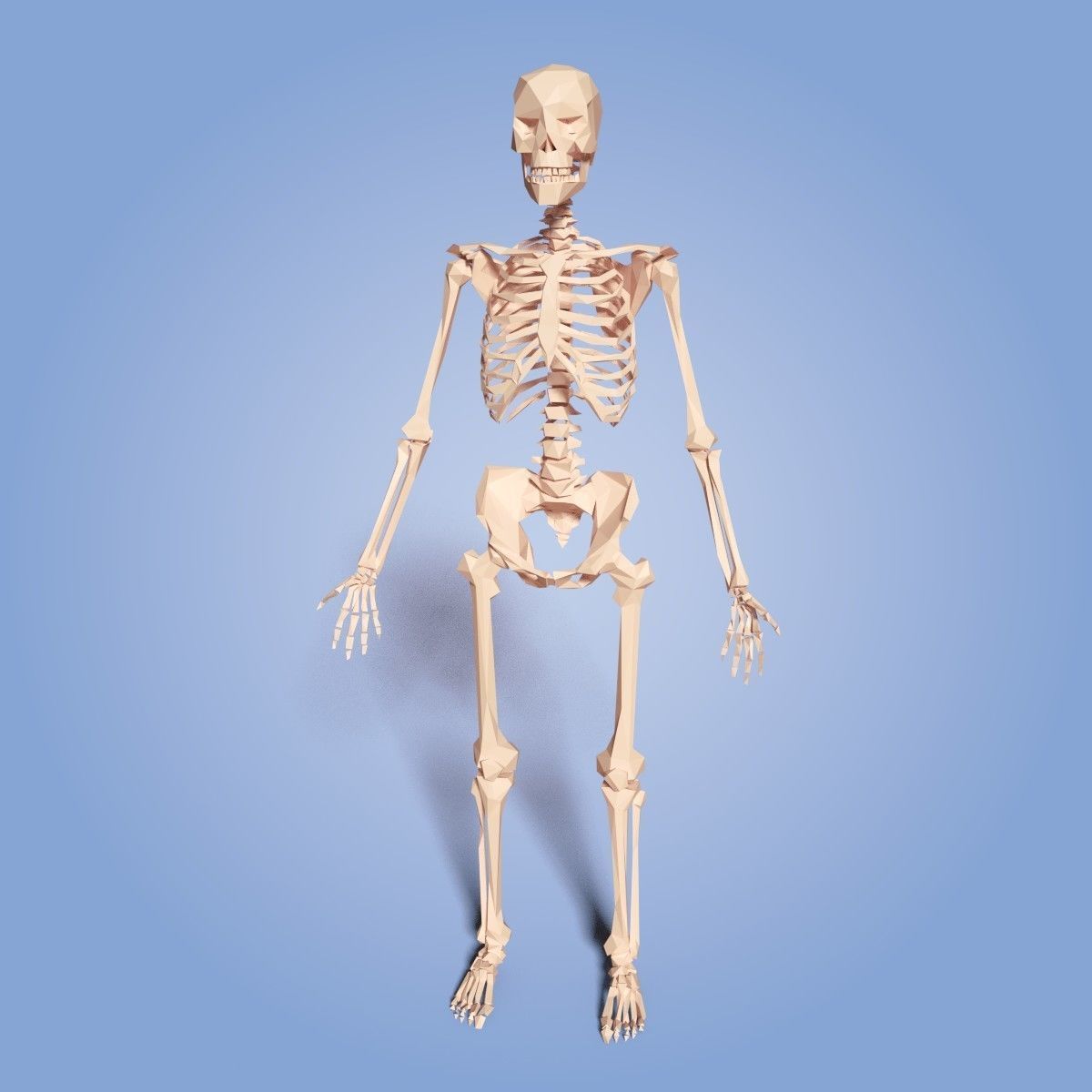 Cartoon Skeleton Low Poly Low-poly 3D model_1