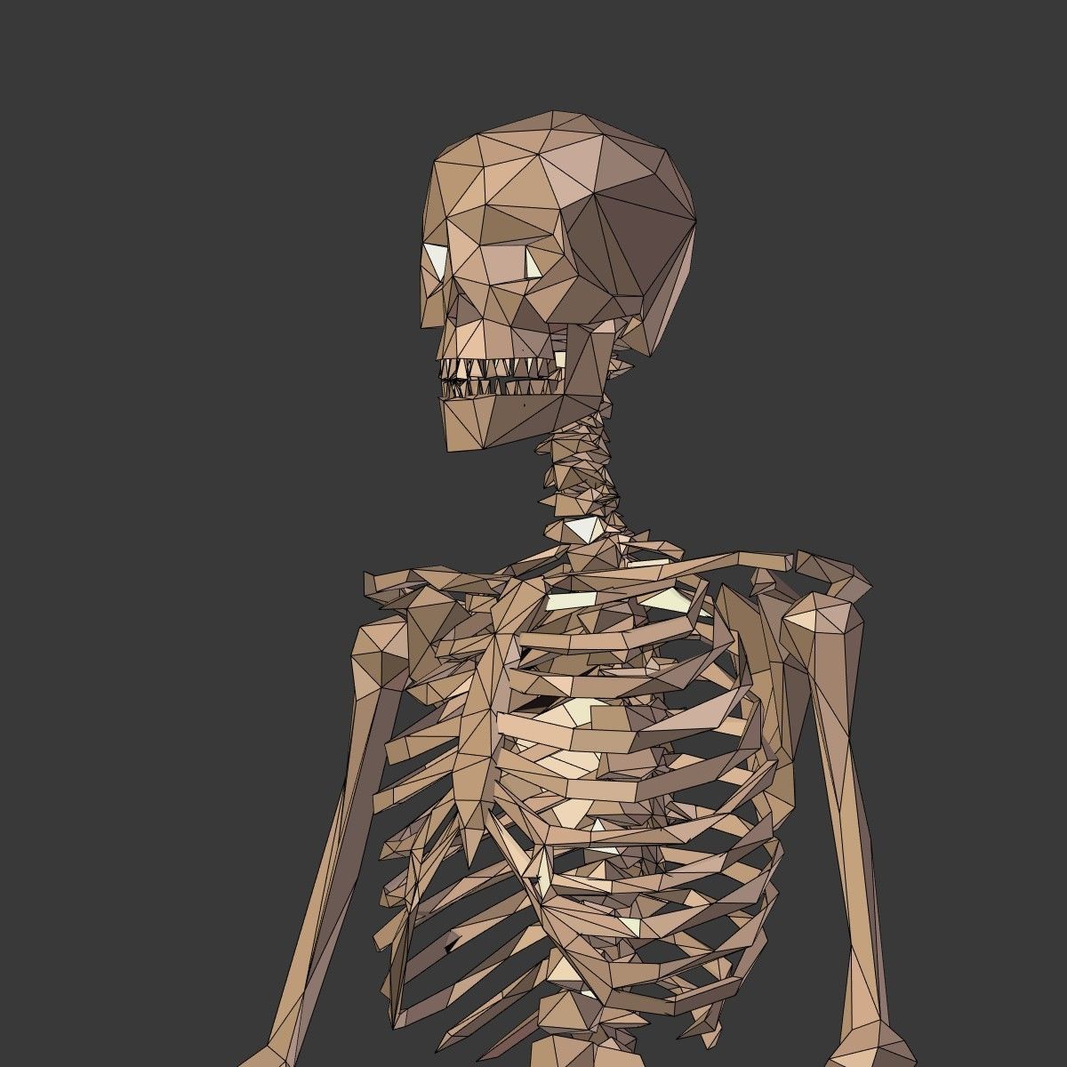Cartoon Skeleton Low Poly Low-poly 3D model_15