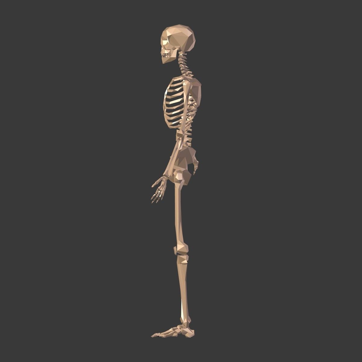 Cartoon Skeleton Low Poly Low-poly 3D model_8
