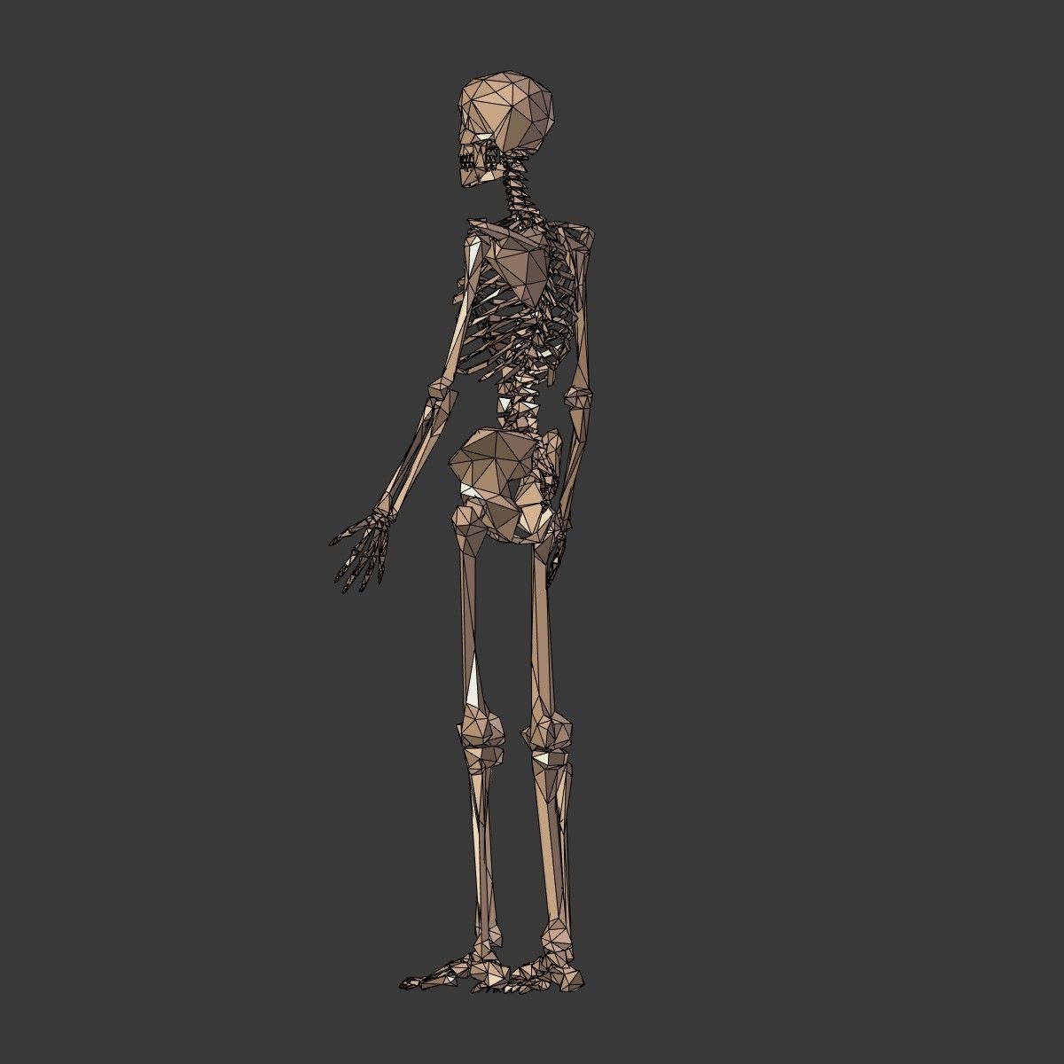 Cartoon Skeleton Low Poly Low-poly 3D model_11