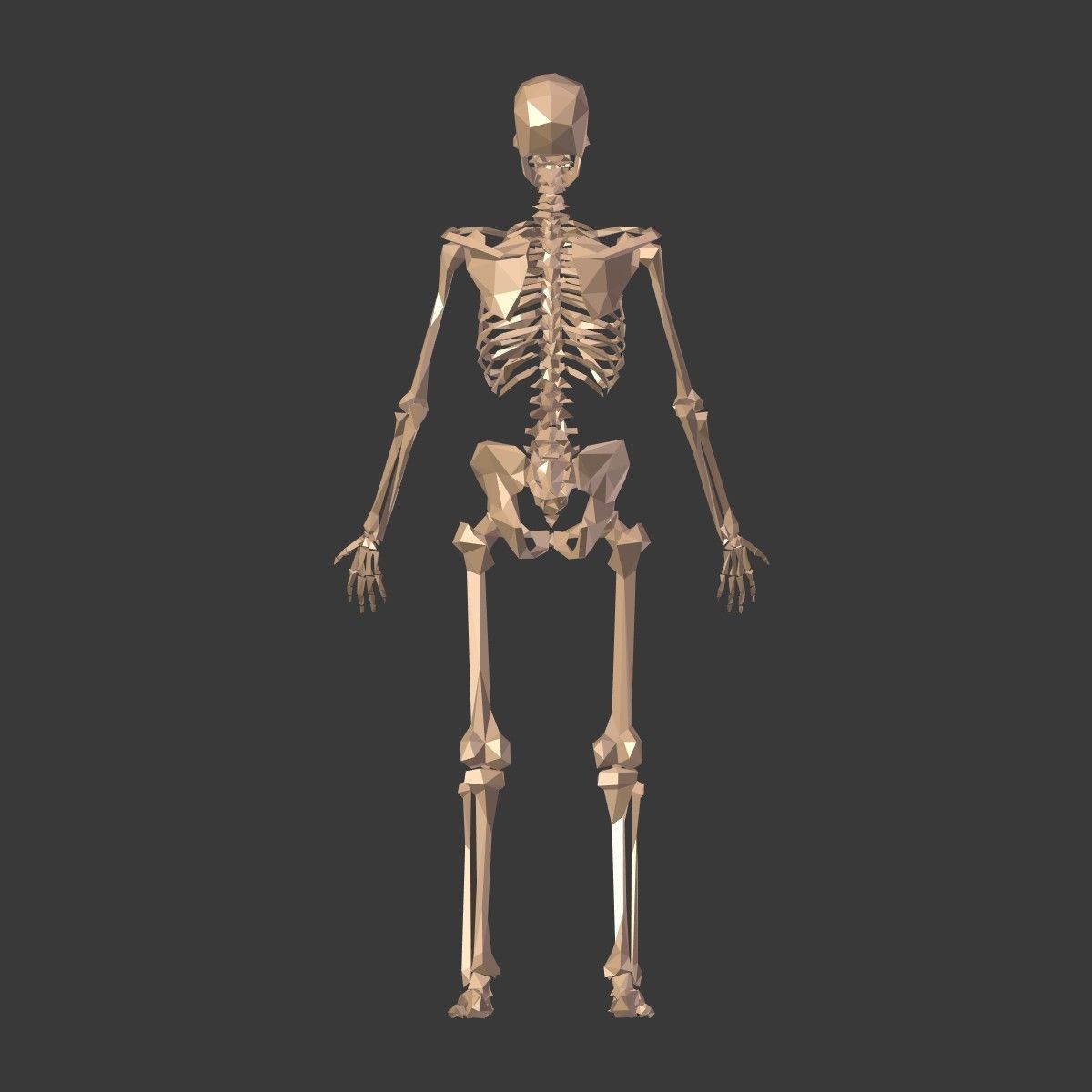Cartoon Skeleton Low Poly Low-poly 3D model_12