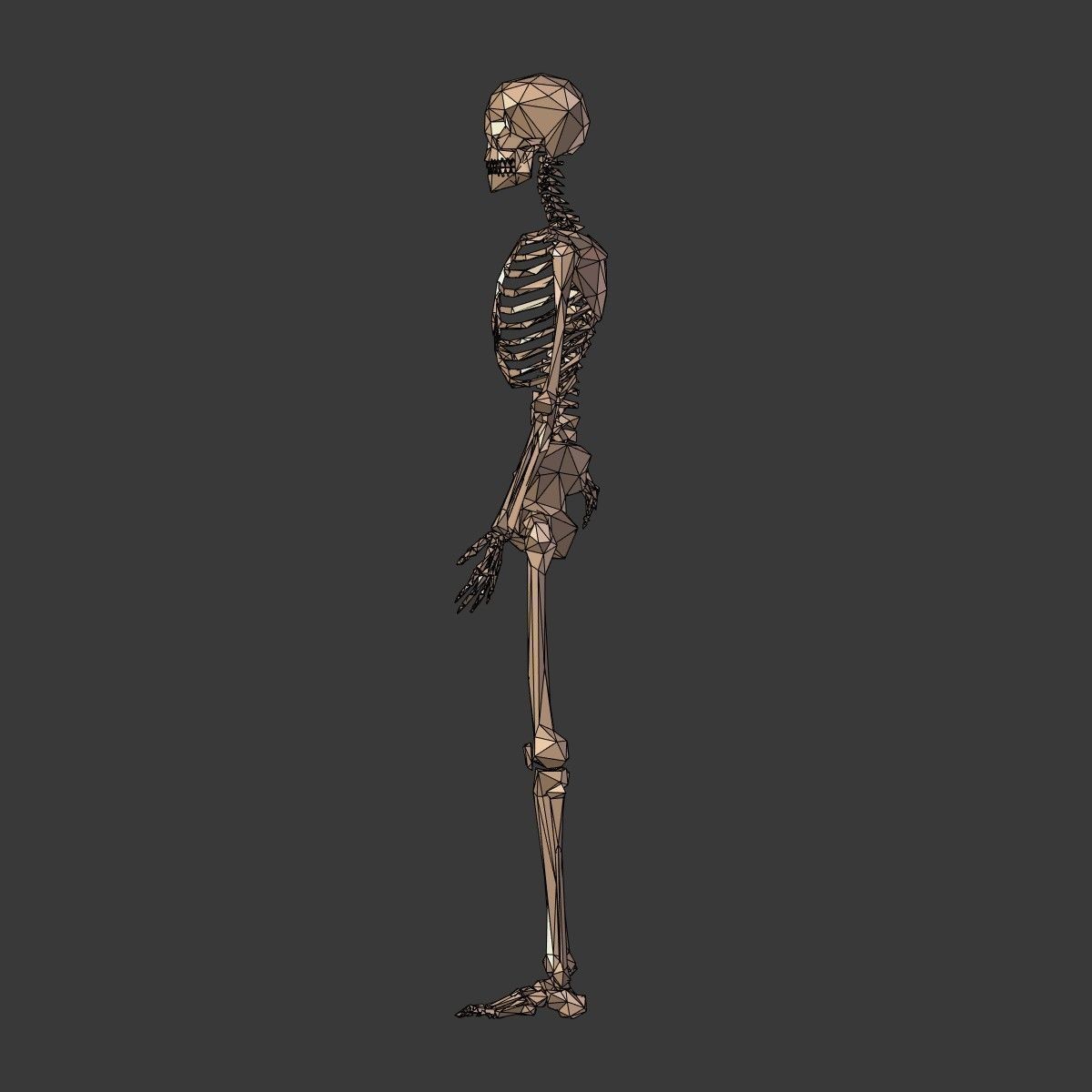 Cartoon Skeleton Low Poly Low-poly 3D model_9