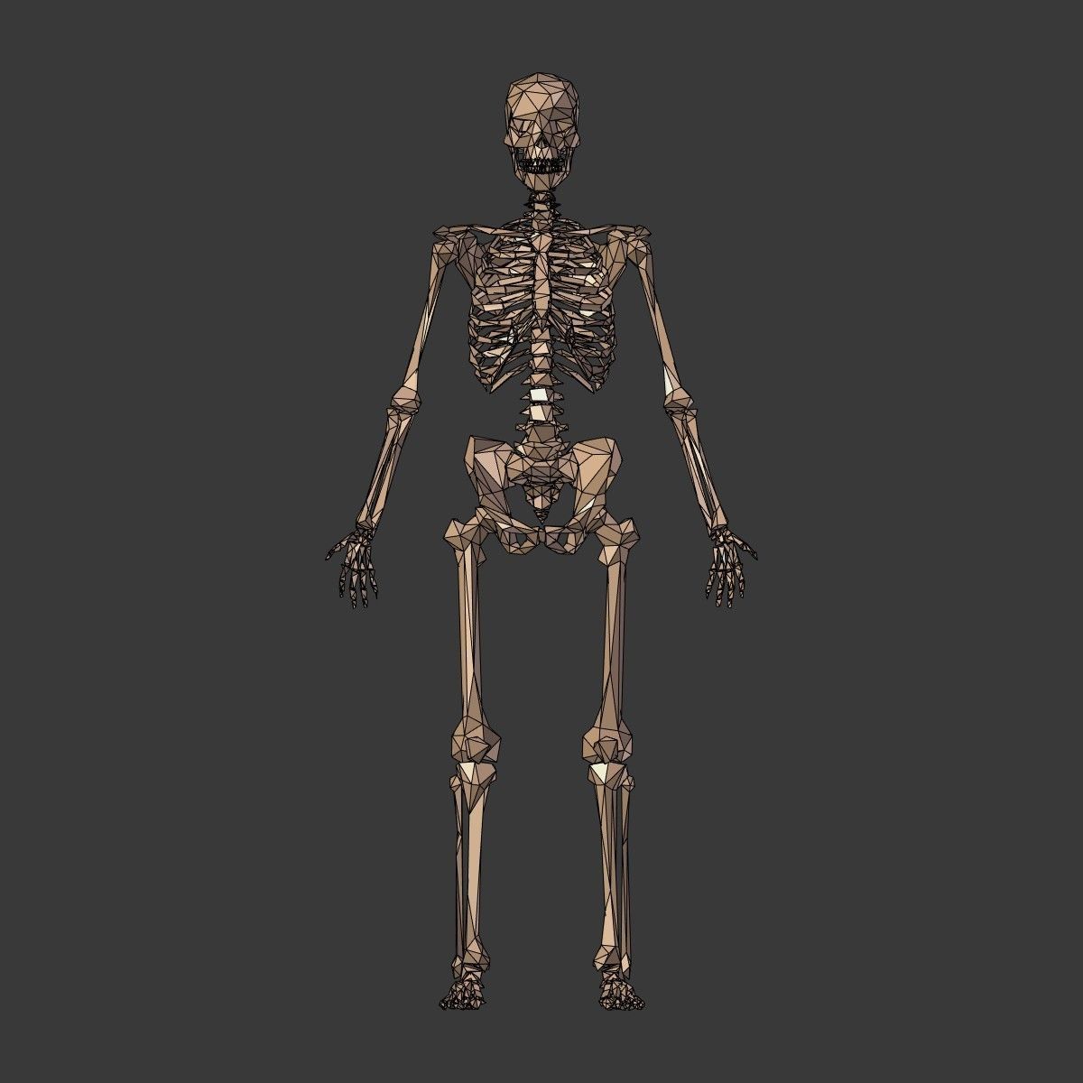 Cartoon Skeleton Low Poly Low-poly 3D model_5