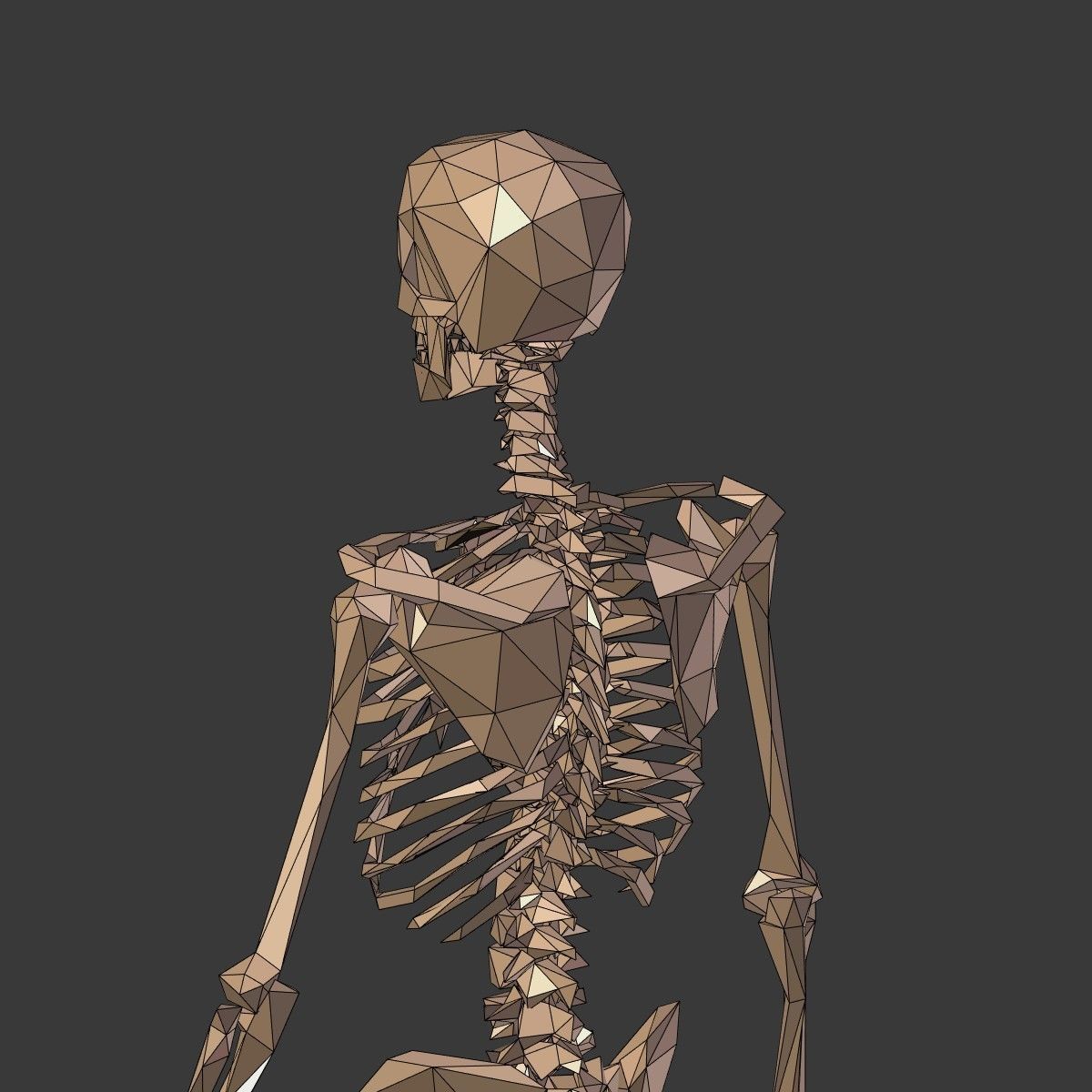 Cartoon Skeleton Low Poly Low-poly 3D model_21