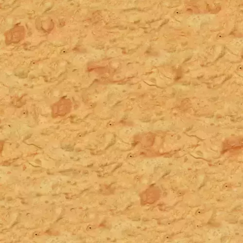 Fried Batter Texture