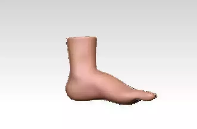 Human Feet