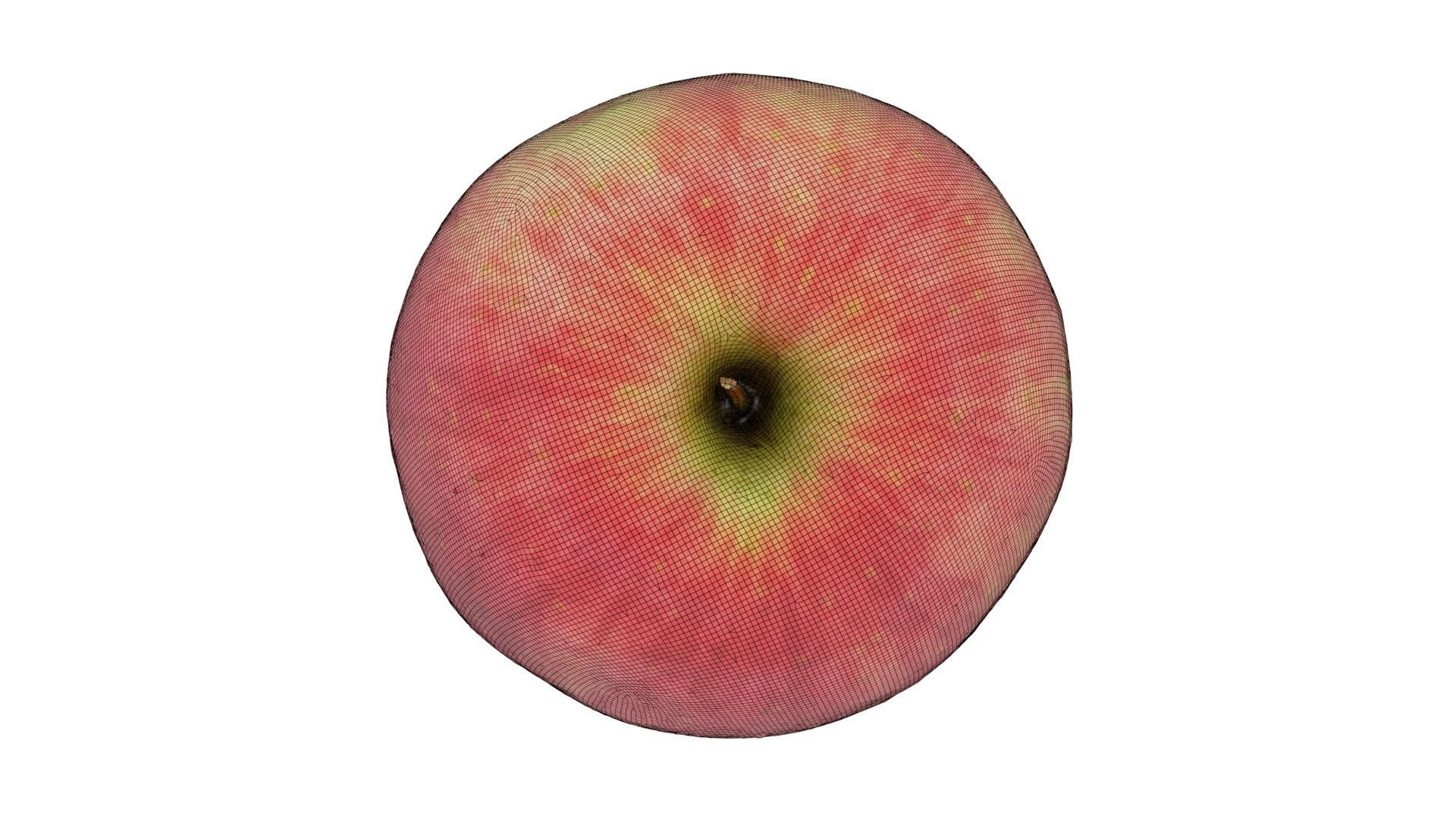 Red Apple 3D model_3