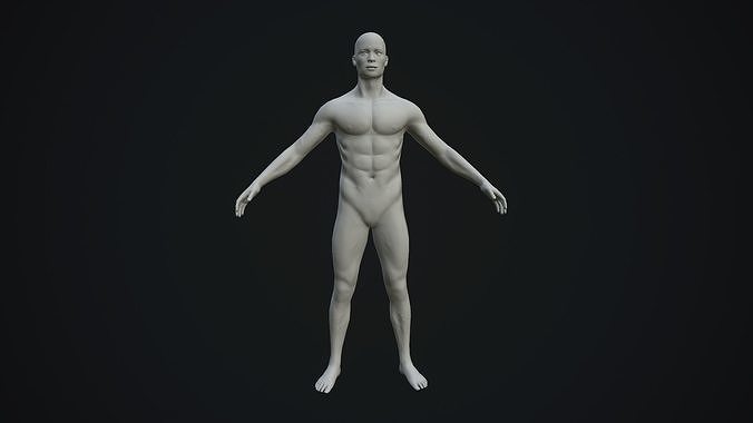 Base Mesh Male Body  Low-poly 3D model