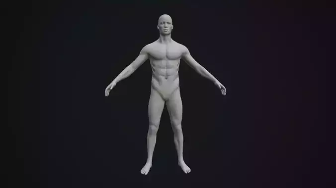 Base Mesh Male Body 