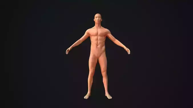 Base Mesh Male Body Baked PBR Low-poly 3D model