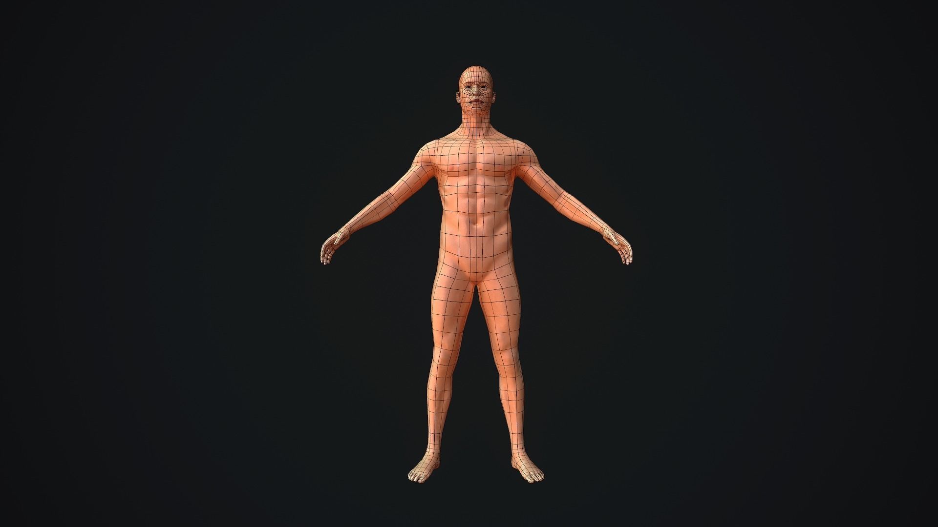 Base Mesh Male Body Baked PBR Low-poly 3D model_2