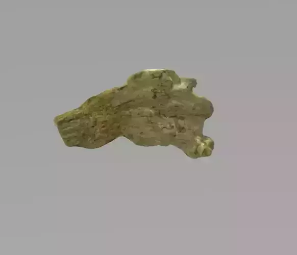 PBR Tree Bark Photorealistic