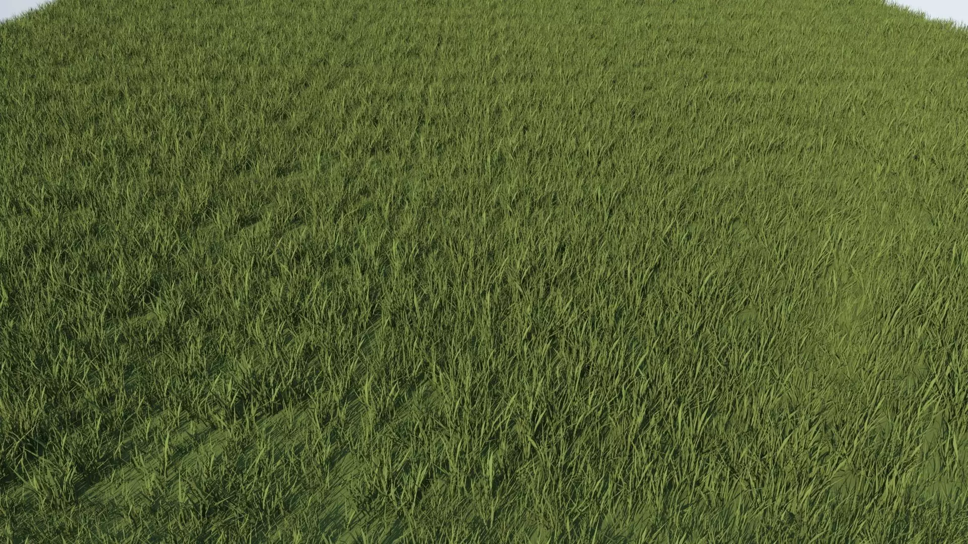 Grass 3D model_0
