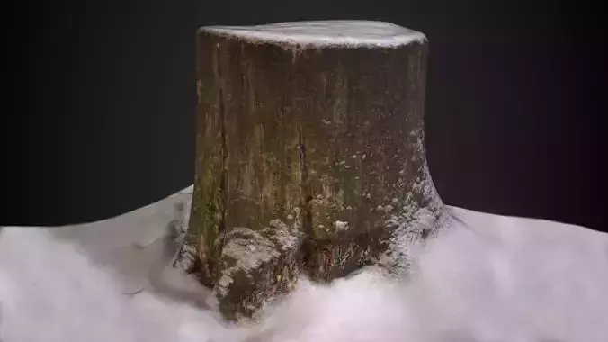 Stump tree covered in snow