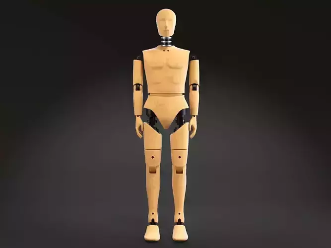 Crash Test Dummy Standing 3D model