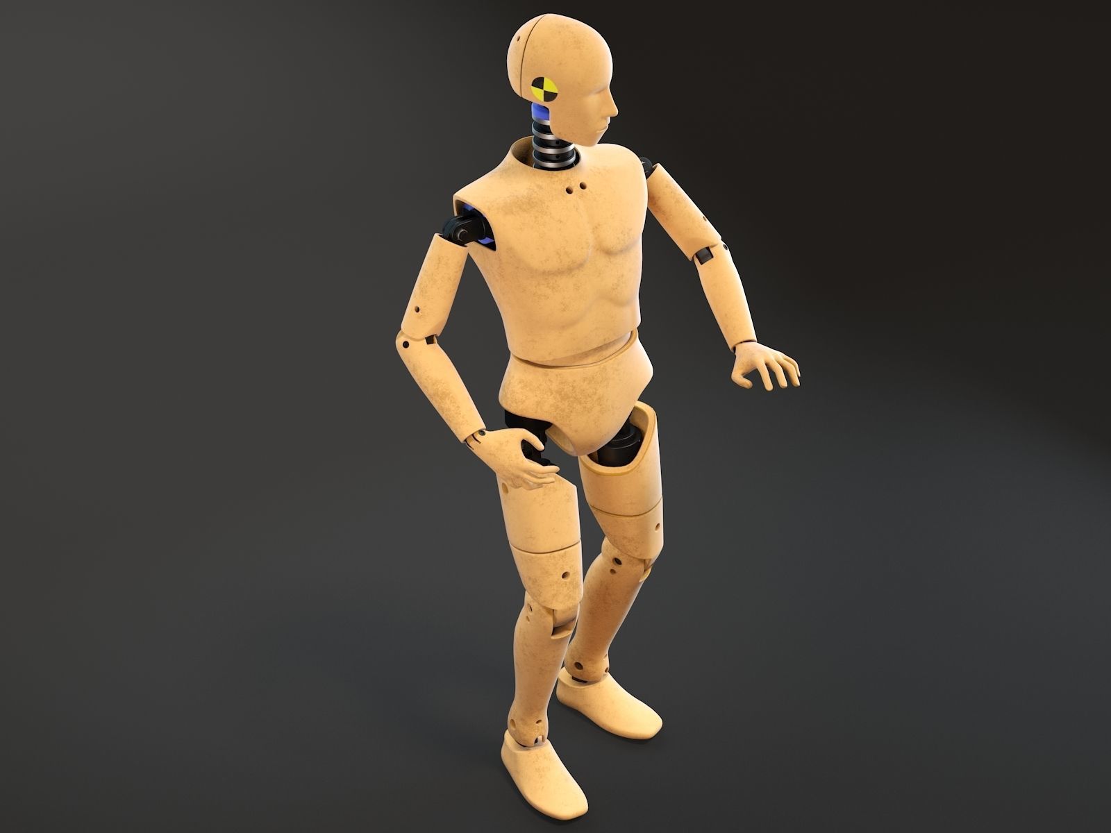 Crash Test Dummy Standing 3D model_10