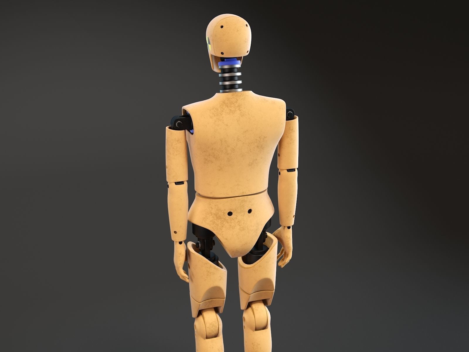 Crash Test Dummy Standing 3D model_6
