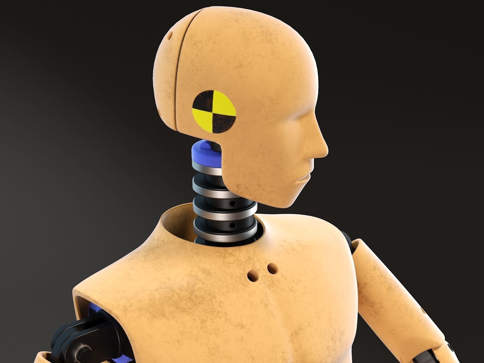 Crash Test Dummy Standing 3D model_11