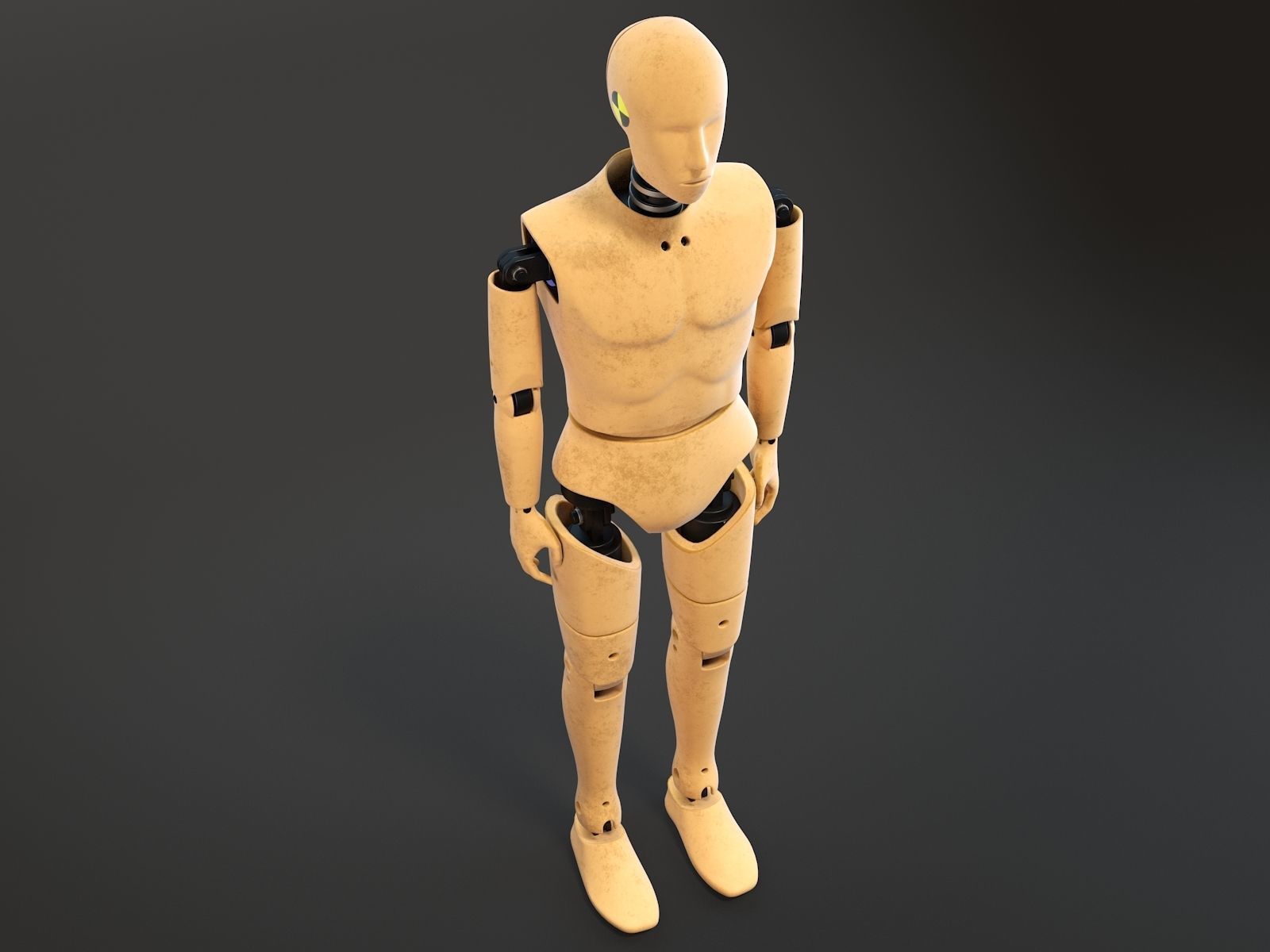 Crash Test Dummy Standing 3D model_3
