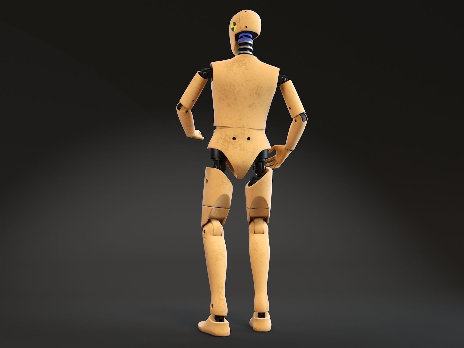 Crash Test Dummy Standing 3D model_13