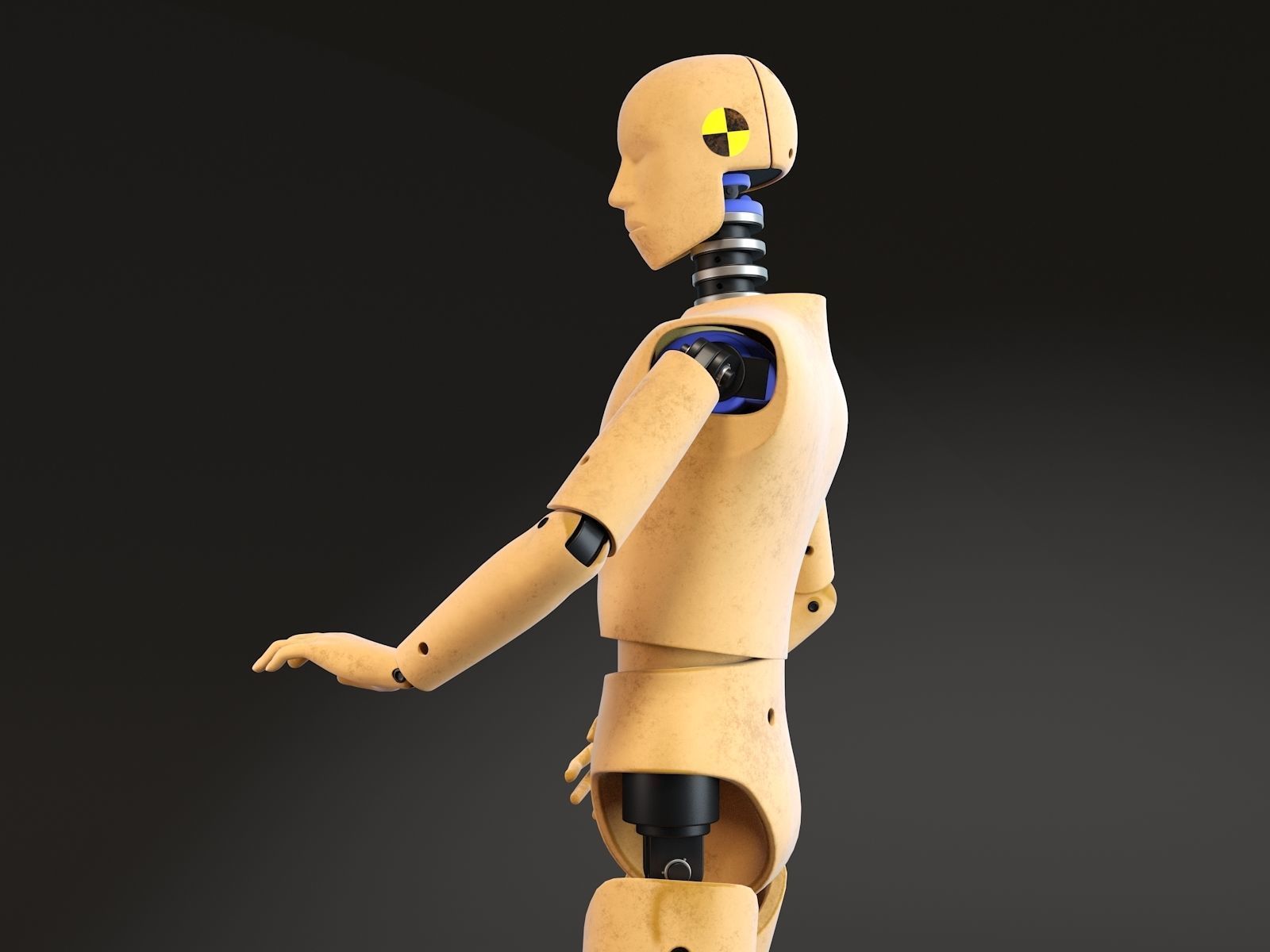 Crash Test Dummy Standing 3D model_12