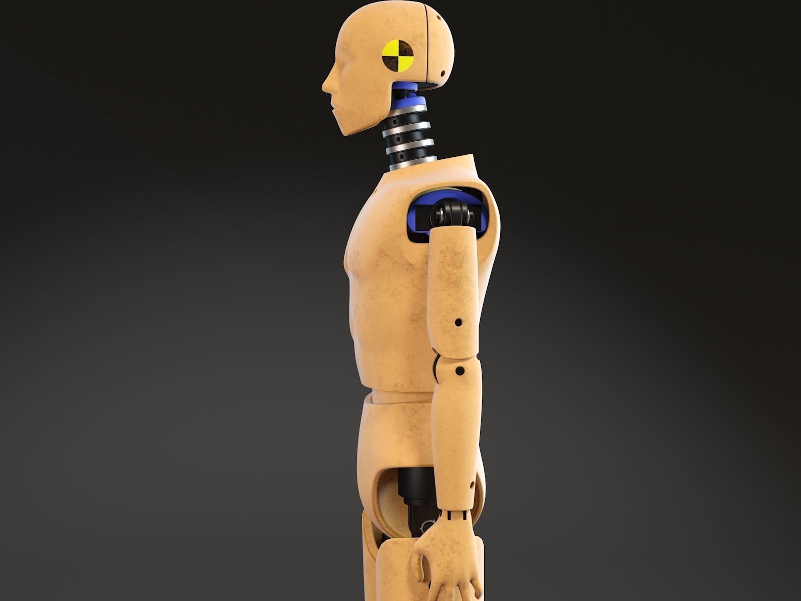 Crash Test Dummy Standing 3D model_5
