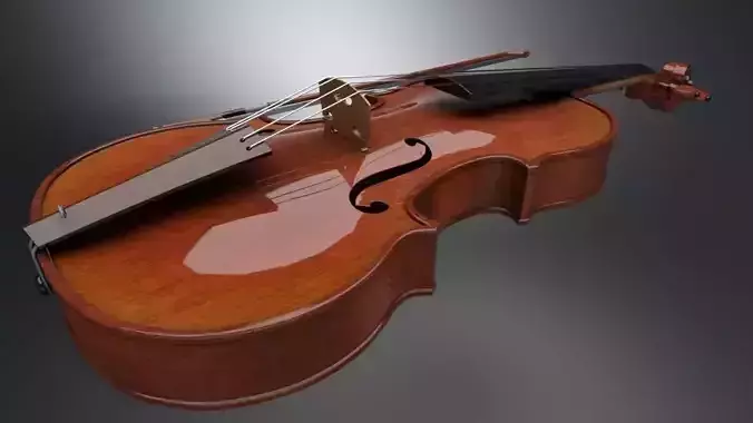 Violin
