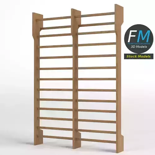 Double Swedish ladder