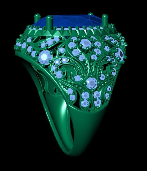 Ring akr 24 3D print model_11