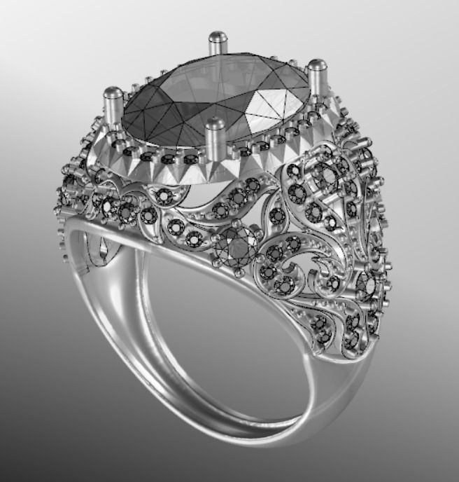 Ring akr 24 3D print model_16