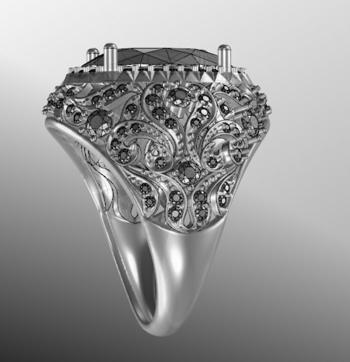 Ring akr 24 3D print model_18