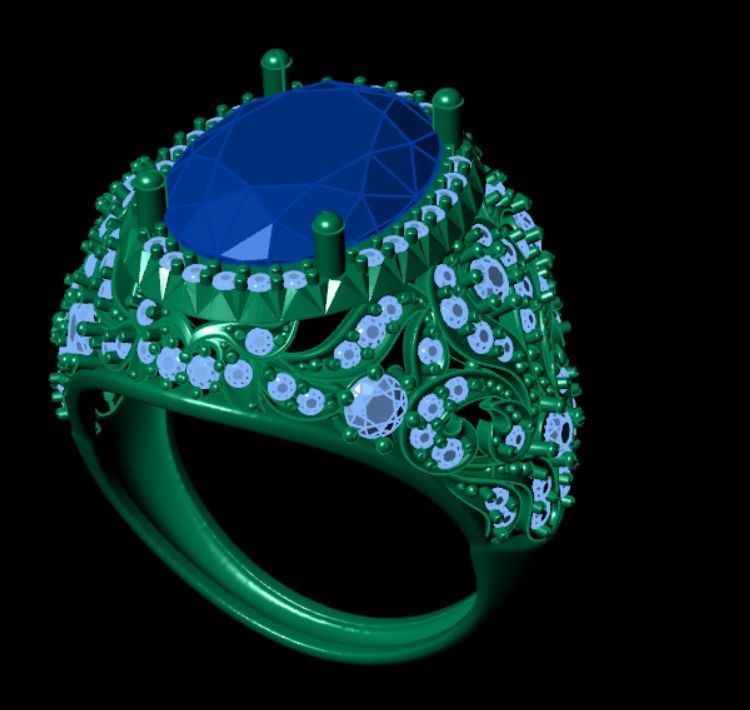 Ring akr 24 3D print model_10