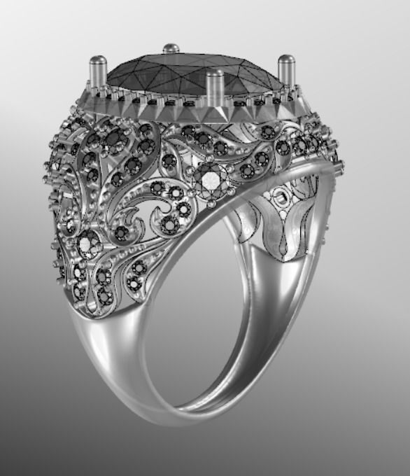 Ring akr 24 3D print model_17