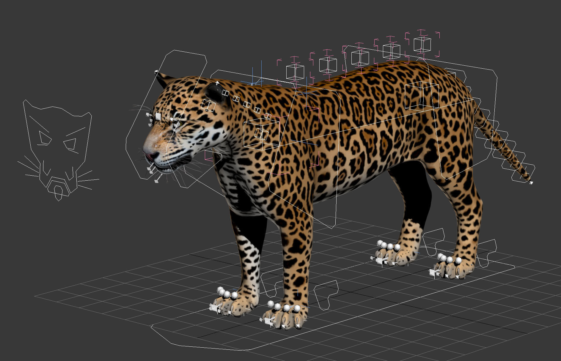 Panthera Onca - American Jaguar 3D model_16