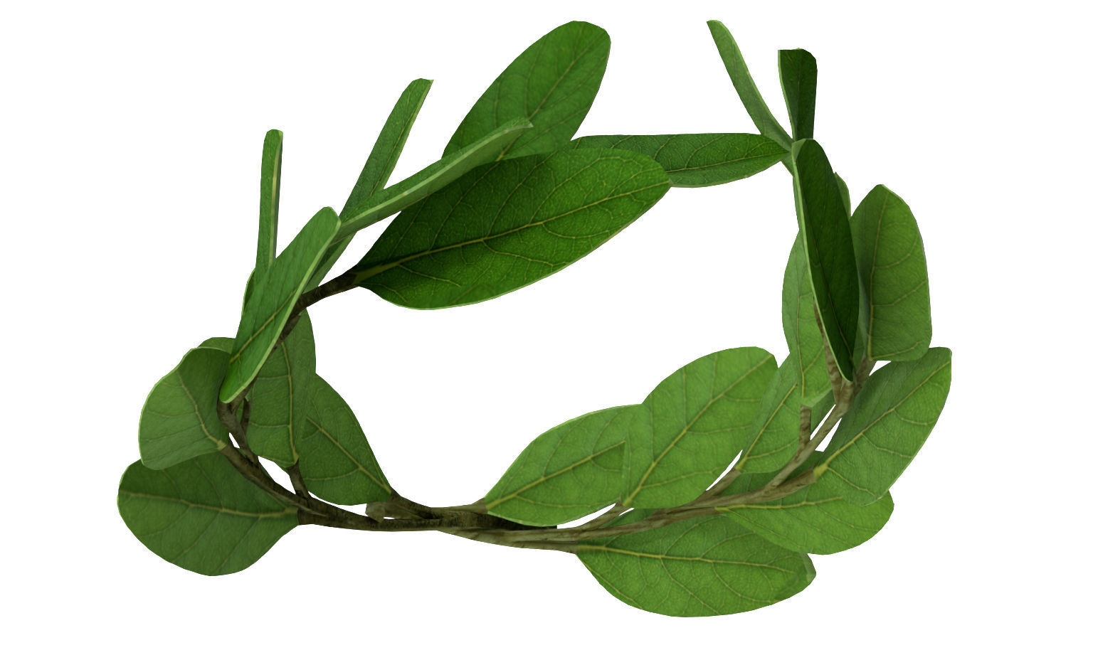 Laurel Wreath Low-poly 3D model_4