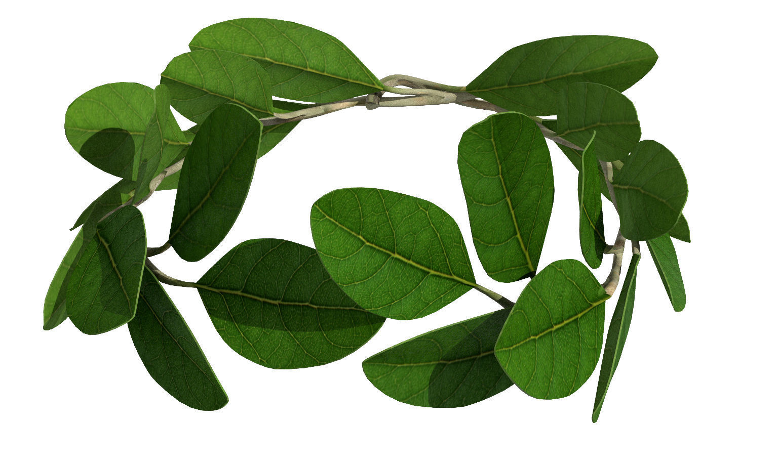 Laurel Wreath Low-poly 3D model_2