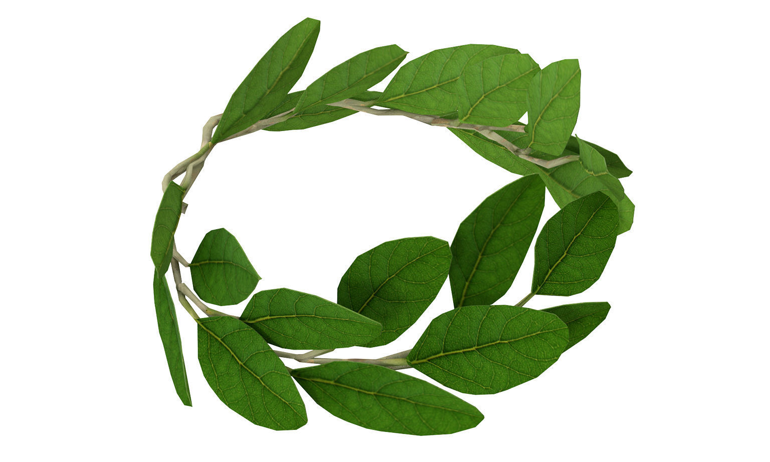 Laurel Wreath Low-poly 3D model_7