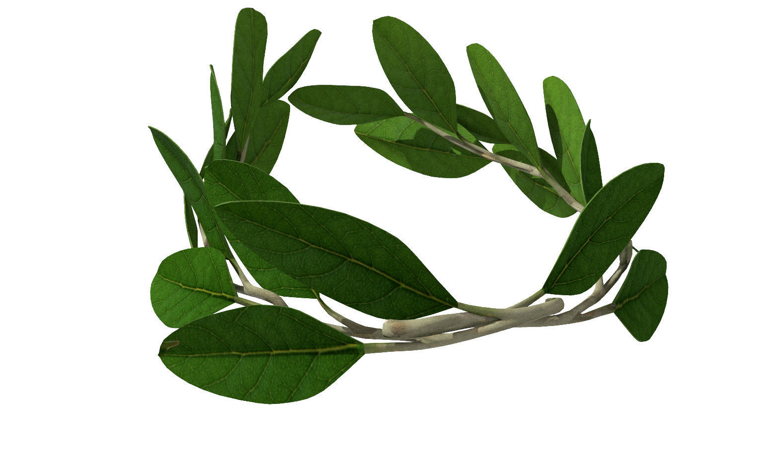 Laurel Wreath Low-poly 3D model_1