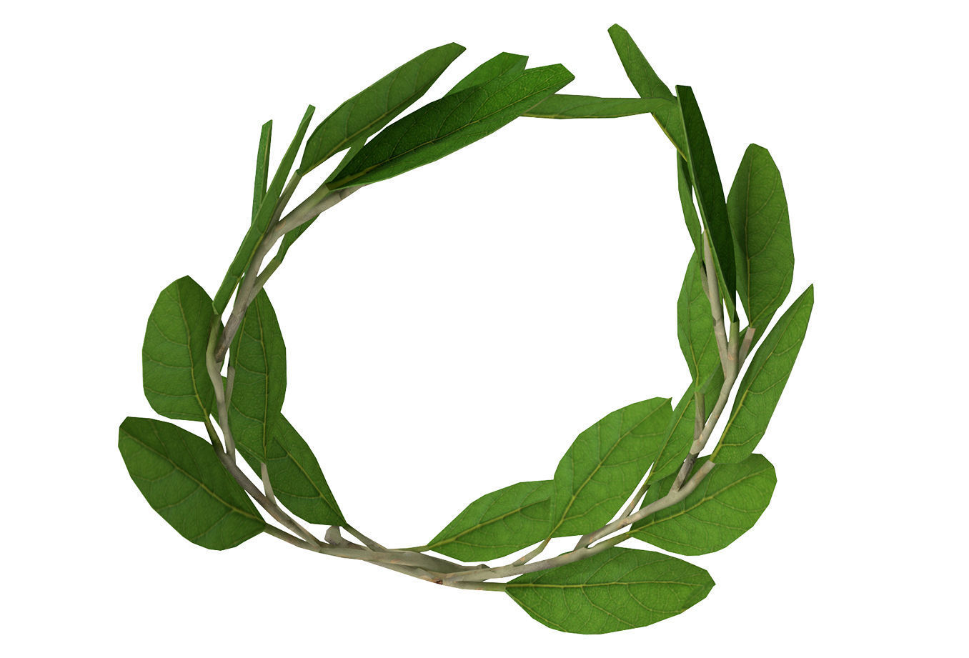 Laurel Wreath Low-poly 3D model_5