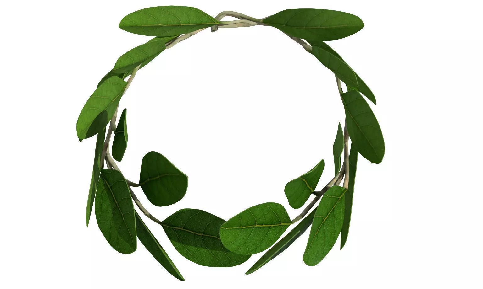 Laurel Wreath Low-poly 3D model_0