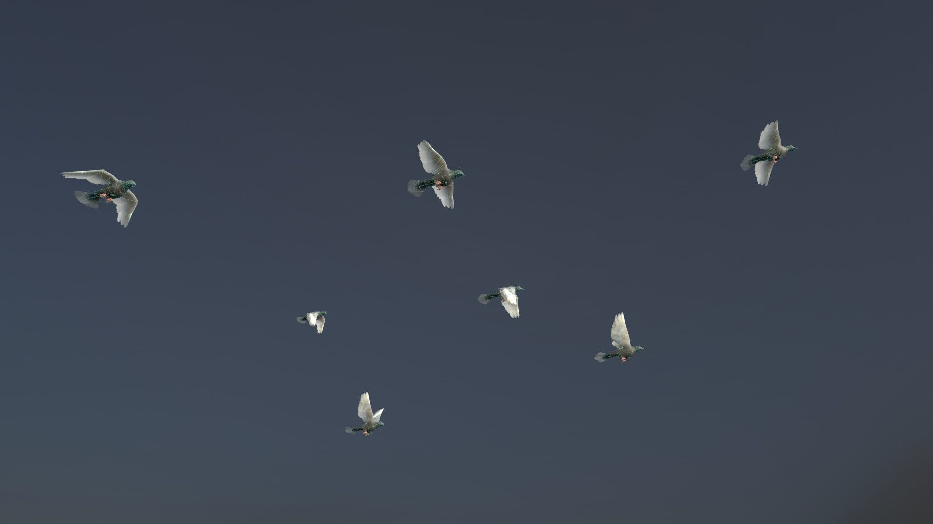 Background Birds Pigeon Flock Updated V5 -Animated - Low Poly Low-poly 3D model_3