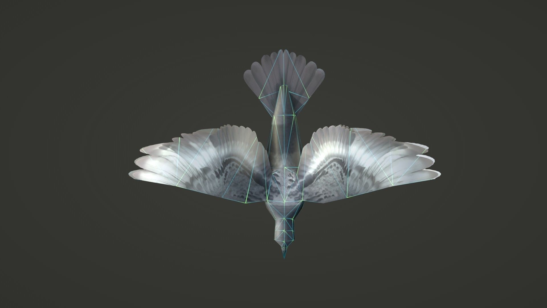 Background Birds Pigeon Flock Updated V5 -Animated - Low Poly Low-poly 3D model_5