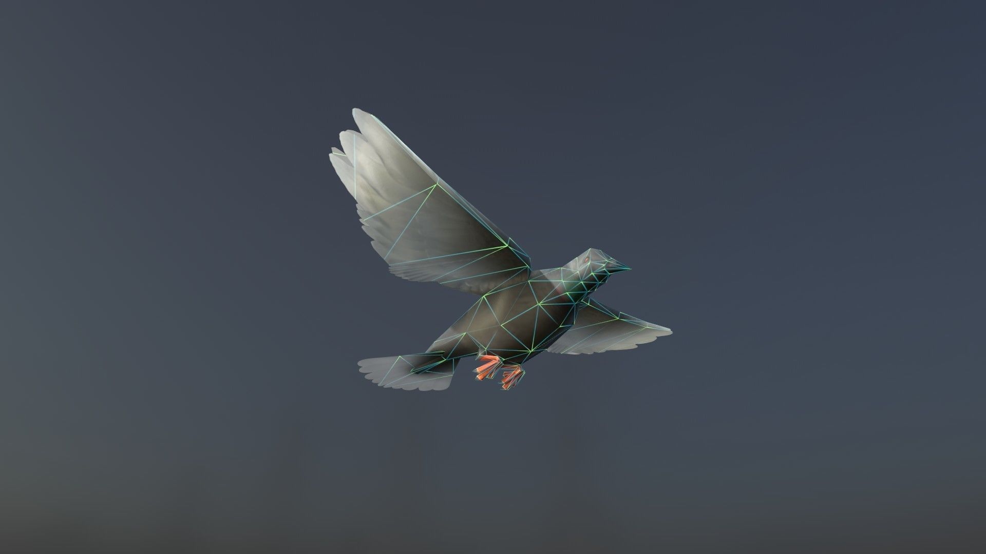 Background Birds Pigeon Flock Updated V5 -Animated - Low Poly Low-poly 3D model_4