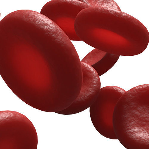 Red Blood Cells 3D model