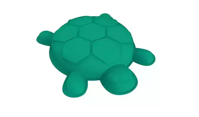 Turtle shaped mold