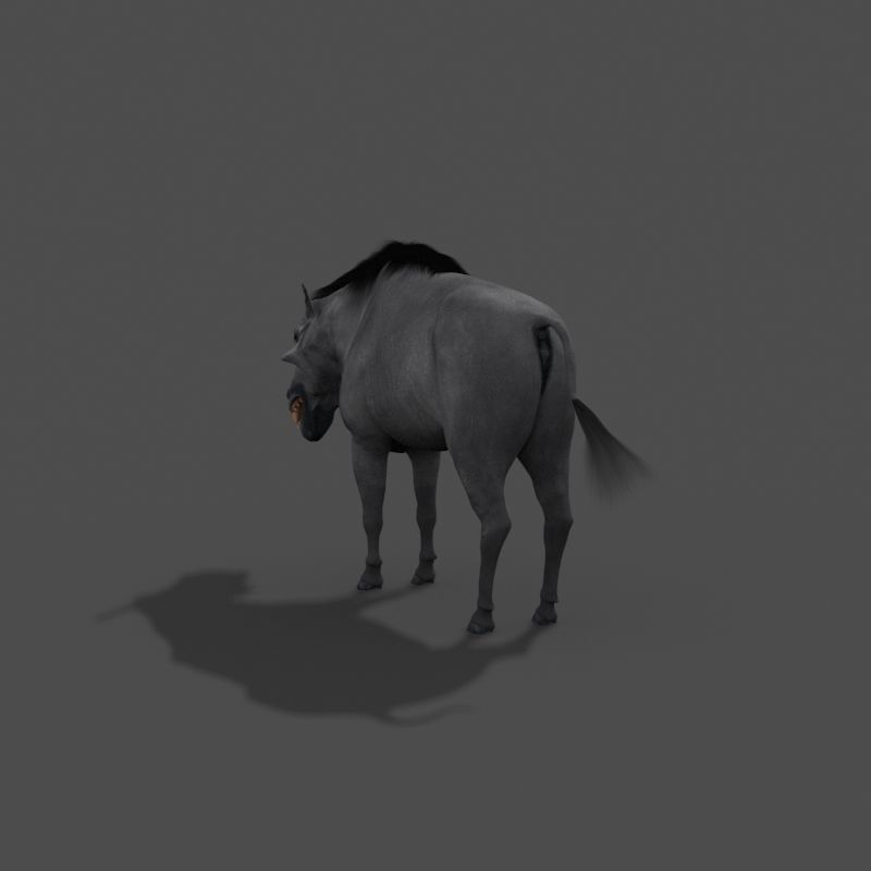 Hell Pig - daeodon shoshonensis 3d model 3D model_6